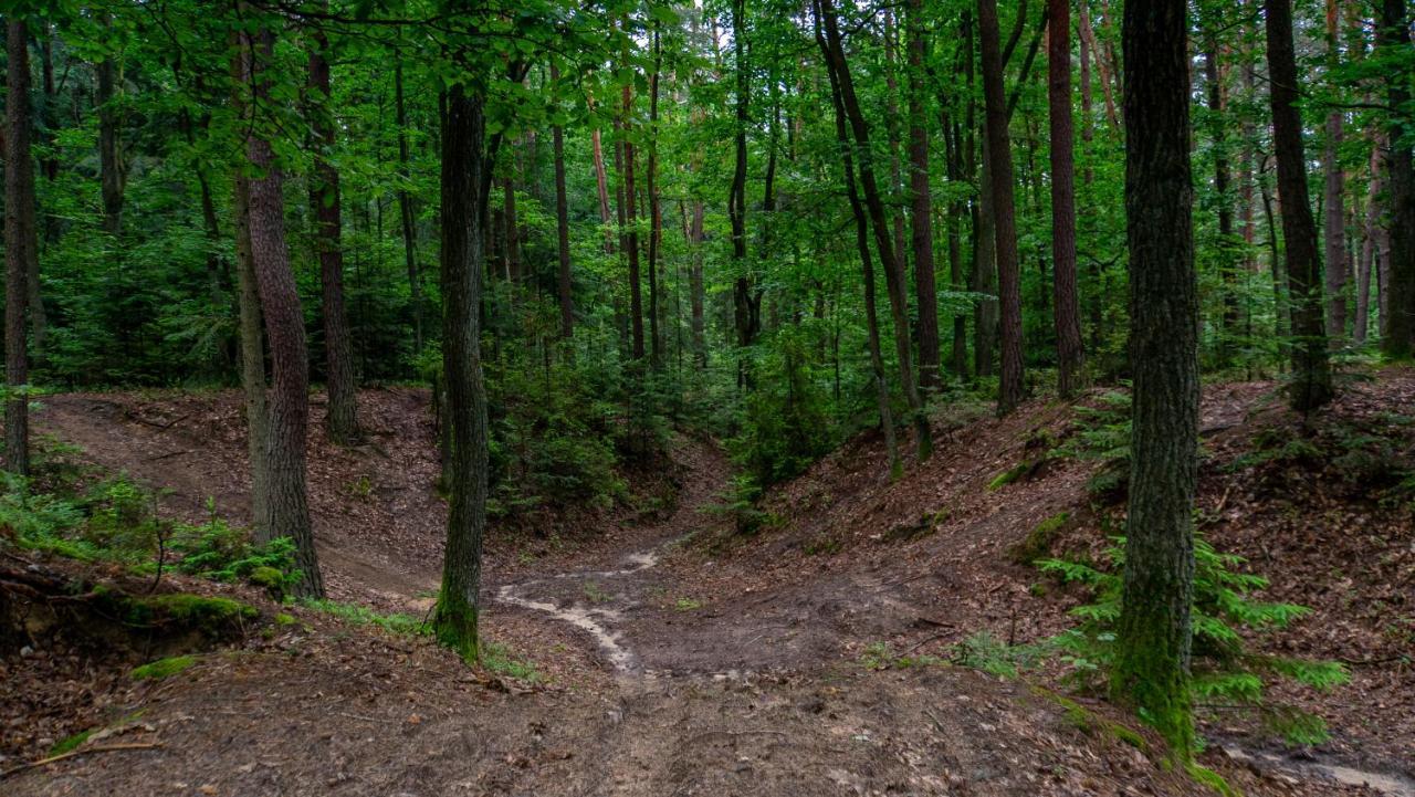 Siedlisko Pod Lasem Zwierzyniec Exterior foto